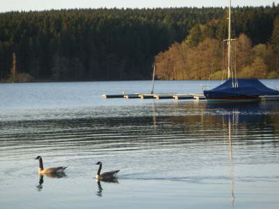 Die Enten haben Glck das ich NOCH nicht gern schwimme.