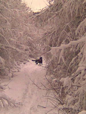 Skipper im Schnee!