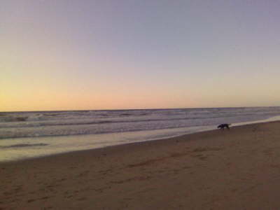 Dieser Strand gehrt mir!